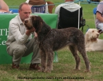 Filename=H-BetteDavisEyes.jpg
Filesize=129KiB
Dimensions=750x599
Date added=Sep 14, 2011 H-BetteDavisEyes.jpg