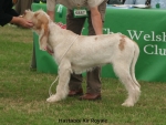 Filename=H-KirRoyale.jpg
Filesize=110KiB
Dimensions=750x565
Date added=Sep 14, 2011 H-KirRoyale.jpg
