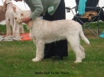 Filename=N-GotToBeThere.jpg
Filesize=94KiB
Dimensions=750x564
Date added=Sep 14, 2011 N-GotToBeThere.jpg