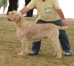 Filename=B-EdwardGRobinson.JPG
Filesize=178KiB
Dimensions=600x539
Date added=Aug 18, 2010 B-EdwardGRobinson.JPG