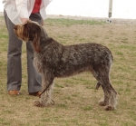 Filename=J-Phoebe.JPG
Filesize=192KiB
Dimensions=600x559
Date added=Aug 18, 2010 J-Phoebe.JPG