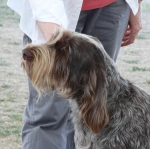 Filename=J-Phoebe2.JPG
Filesize=170KiB
Dimensions=600x598
Date added=Aug 18, 2010 J-Phoebe2.JPG
