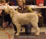 Filename=T-Balena.jpg
Filesize=56KiB
Dimensions=600x514
Date added=Aug 18, 2010 T-Balena.jpg