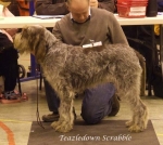 Filename=T-Scrabble.jpg
Filesize=61KiB
Dimensions=600x537
Date added=Aug 18, 2010 T-Scrabble.jpg