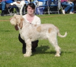Filename=B-Finlay.jpg
Filesize=451KiB
Dimensions=700x625
Date added=Sep 18, 2011 B-Finlay.jpg