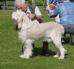 Filename=C-Carlo.jpg
Filesize=466KiB
Dimensions=700x659
Date added=Sep 18, 2011 C-Carlo.jpg