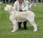 Filename=C-Corinna.jpg
Filesize=435KiB
Dimensions=700x618
Date added=Sep 18, 2011 C-Corinna.jpg