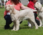 Filename=M-JustEva.jpg
Filesize=378KiB
Dimensions=700x562
Date added=Sep 18, 2011 M-JustEva.jpg