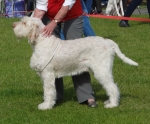 Filename=N-GotToBeThere.jpg
Filesize=401KiB
Dimensions=700x582
Date added=Sep 18, 2011 N-GotToBeThere.jpg