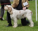 Filename=S-Delius.jpg
Filesize=357KiB
Dimensions=700x567
Date added=Sep 18, 2011 S-Delius.jpg