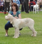 Filename=T-MistyDawn.JPG
Filesize=482KiB
Dimensions=700x721
Date added=Sep 18, 2011 T-MistyDawn.JPG