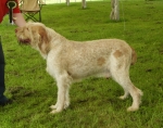 Filename=H-CrazyDiamond.jpg
Filesize=493KiB
Dimensions=700x554
Date added=Sep 18, 2011 H-CrazyDiamond.jpg