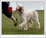 Filename=A-Amelia.jpg
Filesize=184KiB
Dimensions=868x714
Date added=Sep 18, 2011 A-Amelia.jpg