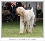 Filename=B-Bartolomeo-3.jpg
Filesize=152KiB
Dimensions=872x798
Date added=Sep 18, 2011 B-Bartolomeo-3.jpg
