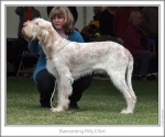 Filename=B-BillyElliot.jpg
Filesize=174KiB
Dimensions=868x725
Date added=Sep 18, 2011 B-BillyElliot.jpg