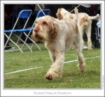 Filename=B-Finlay-2.jpg
Filesize=191KiB
Dimensions=873x810
Date added=Sep 18, 2011 B-Finlay-2.jpg