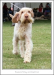 Filename=B-Finlay-3.jpg
Filesize=170KiB
Dimensions=669x924
Date added=Sep 18, 2011 B-Finlay-3.jpg