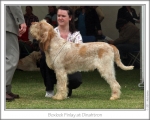 Filename=B-Finlay.jpg
Filesize=171KiB
Dimensions=868x699
Date added=Sep 18, 2011 B-Finlay.jpg