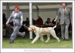 Filename=B-RudeBoy-2.jpg
Filesize=170KiB
Dimensions=864x610
Date added=Sep 18, 2011 B-RudeBoy-2.jpg
