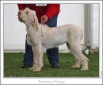 Filename=B-Streyga.jpg
Filesize=148KiB
Dimensions=868x713
Date added=Sep 18, 2011 B-Streyga.jpg