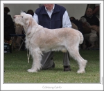 Filename=C-Carlo.jpg
Filesize=146KiB
Dimensions=871x770
Date added=Sep 18, 2011 C-Carlo.jpg