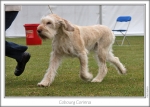 Filename=C-Corinna-2.jpg
Filesize=167KiB
Dimensions=864x622
Date added=Sep 18, 2011 C-Corinna-2.jpg