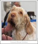 Filename=F-BlondeAmbition-2.jpg
Filesize=160KiB
Dimensions=661x758
Date added=Sep 18, 2011 F-BlondeAmbition-2.jpg