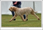 Filename=F-BlondeAmbition-3.jpg
Filesize=207KiB
Dimensions=864x605
Date added=Sep 18, 2011 F-BlondeAmbition-3.jpg