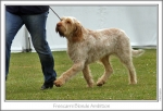 Filename=F-BlondeAmbition-4.jpg
Filesize=201KiB
Dimensions=863x592
Date added=Sep 18, 2011 F-BlondeAmbition-4.jpg