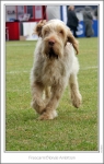 Filename=F-BlondeAmbition-5.jpg
Filesize=199KiB
Dimensions=675x1059
Date added=Sep 18, 2011 F-BlondeAmbition-5.jpg