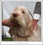 Filename=F-RoccaChe.jpg
Filesize=158KiB
Dimensions=658x690
Date added=Sep 18, 2011 F-RoccaChe.jpg