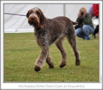 Filename=H-BetteDavisEyes-2.jpg
Filesize=172KiB
Dimensions=653x573
Date added=Sep 18, 2011 H-BetteDavisEyes-2.jpg