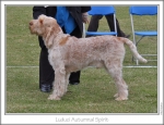 Filename=L-AutumnalSpirit.jpg
Filesize=213KiB
Dimensions=867x669
Date added=Sep 18, 2011 L-AutumnalSpirit.jpg
