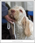Filename=L-EcclesCake-2.jpg
Filesize=133KiB
Dimensions=665x830
Date added=Sep 18, 2011 L-EcclesCake-2.jpg