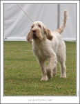 Filename=L-EcclesCake-3.jpg
Filesize=160KiB
Dimensions=665x853
Date added=Sep 18, 2011 L-EcclesCake-3.jpg