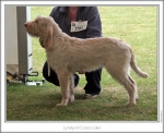 Filename=L-EcclesCake-4.jpg
Filesize=188KiB
Dimensions=868x710
Date added=Sep 18, 2011 L-EcclesCake-4.jpg