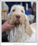 Filename=L-EcclesCake.jpg
Filesize=125KiB
Dimensions=663x796
Date added=Sep 18, 2011 L-EcclesCake.jpg