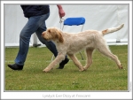 Filename=L-EverDizzy-2.jpg
Filesize=207KiB
Dimensions=866x655
Date added=Sep 18, 2011 L-EverDizzy-2.jpg