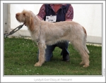 Filename=L-EverDizzy-3.jpg
Filesize=197KiB
Dimensions=867x683
Date added=Sep 18, 2011 L-EverDizzy-3.jpg