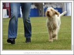 Filename=L-EverDizzy-4.jpg
Filesize=200KiB
Dimensions=866x647
Date added=Sep 18, 2011 L-EverDizzy-4.jpg