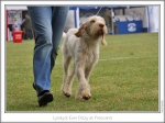 Filename=L-EverDizzy-5.jpg
Filesize=197KiB
Dimensions=866x652
Date added=Sep 18, 2011 L-EverDizzy-5.jpg