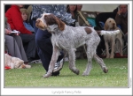 Filename=L-FancyFella-2.jpg
Filesize=175KiB
Dimensions=865x632
Date added=Sep 18, 2011 L-FancyFella-2.jpg