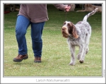 Filename=L-Whatchamacallit-2.jpg
Filesize=190KiB
Dimensions=867x690
Date added=Sep 18, 2011 L-Whatchamacallit-2.jpg