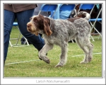 Filename=L-Whatchamacallit-4.jpg
Filesize=203KiB
Dimensions=867x694
Date added=Sep 18, 2011 L-Whatchamacallit-4.jpg