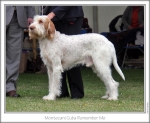 Filename=M-CubaRememberMe.jpg
Filesize=196KiB
Dimensions=868x712
Date added=Sep 18, 2011 M-CubaRememberMe.jpg