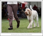 Filename=M-HeSAPeach-2.jpg
Filesize=169KiB
Dimensions=868x715
Date added=Sep 18, 2011 M-HeSAPeach-2.jpg