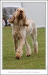Filename=M-SavannaPeach-4.jpg
Filesize=206KiB
Dimensions=673x1042
Date added=Sep 18, 2011 M-SavannaPeach-4.jpg
