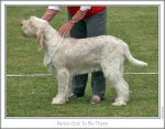 Filename=N-GotToBeThere-2.jpg
Filesize=217KiB
Dimensions=867x681
Date added=Sep 18, 2011 N-GotToBeThere-2.jpg