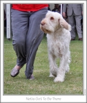 Filename=N-GotToBeThere.jpg
Filesize=170KiB
Dimensions=662x783
Date added=Sep 18, 2011 N-GotToBeThere.jpg