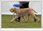 Filename=Netis-InTheGroove-3.jpg
Filesize=203KiB
Dimensions=864x629
Date added=Sep 18, 2011 Netis-InTheGroove-3.jpg